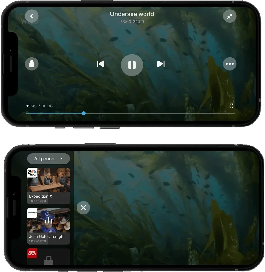 The player in portrait and landscape orientation